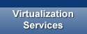 Virtualization Services